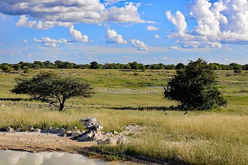 Namibie242