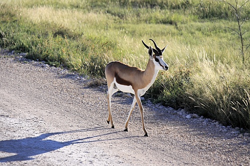 Namibie243
