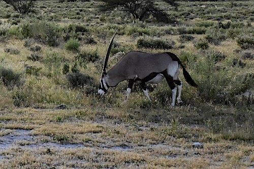 Namibie247