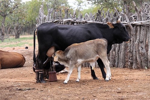 Namibie294