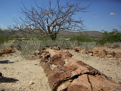 Namibie323
