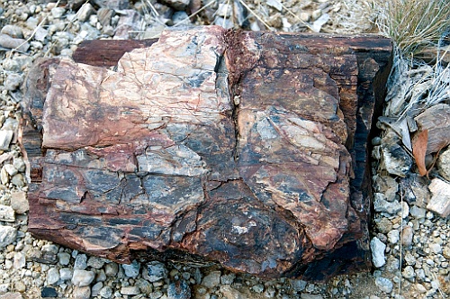 Namibie328