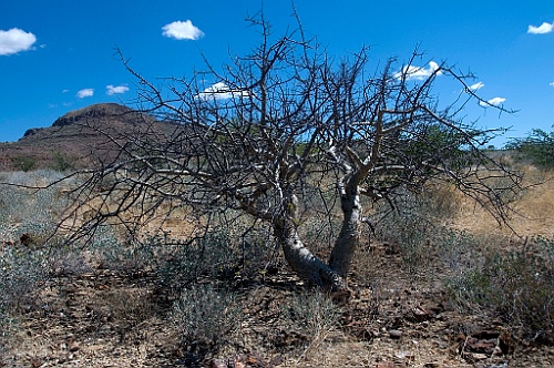 Namibie329