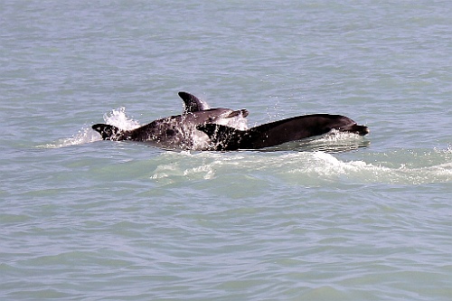 Namibie422