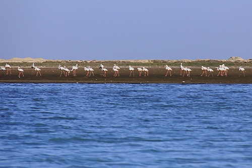 Namibie427