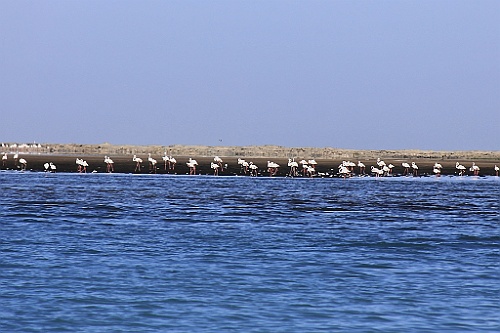 Namibie428