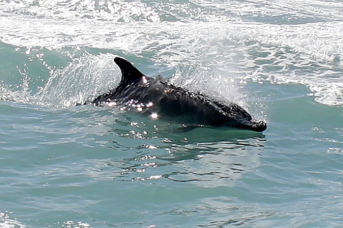 Namibie431