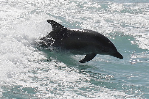 Namibie432