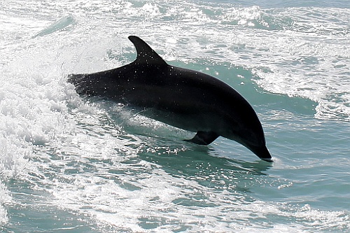 Namibie433