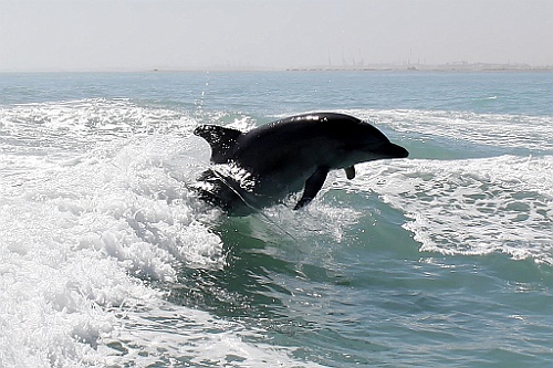 Namibie437