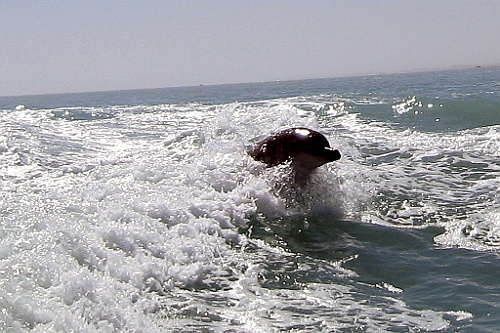 Namibie439
