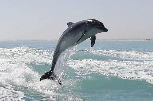 Namibie448