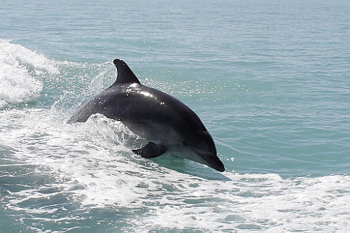Namibie451