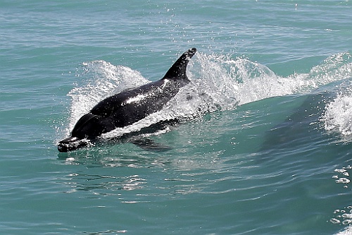 Namibie463