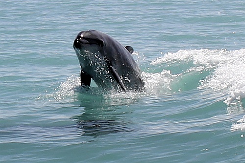 Namibie466