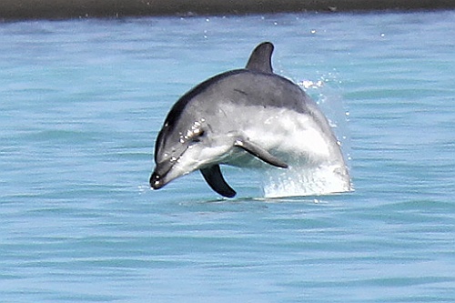 Namibie468
