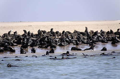 Namibie472