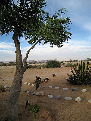 Namibie571