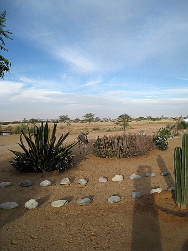 Namibie572