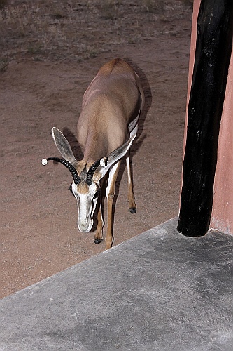 Namibie577
