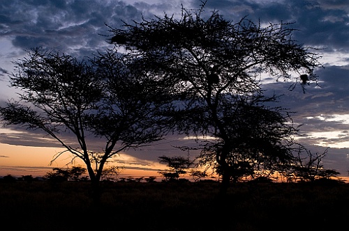 Namibie578