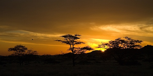 Namibie582