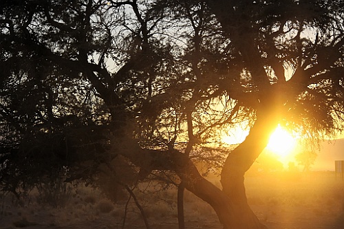 Namibie588