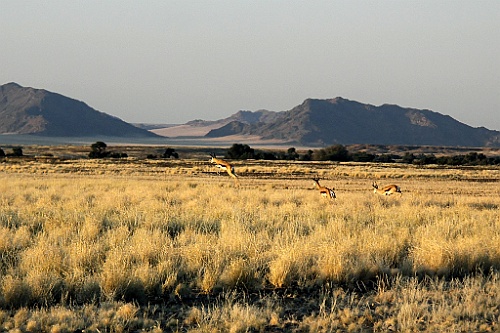 Namibie592