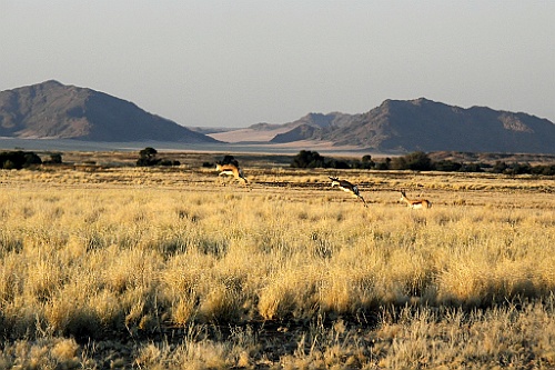 Namibie593