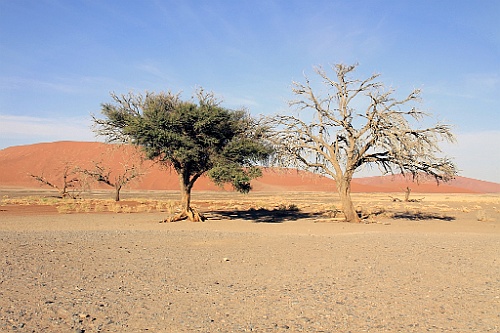 Namibie631
