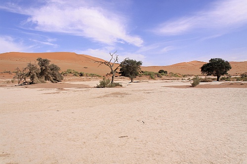 Namibie656