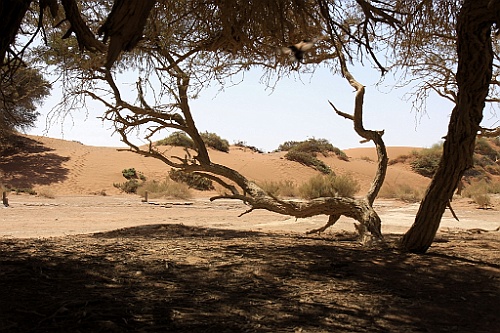 Namibie660