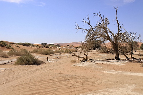Namibie661