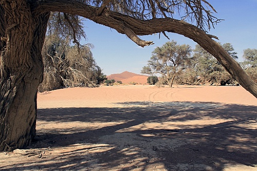 Namibie662