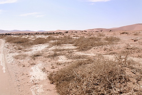Namibie663