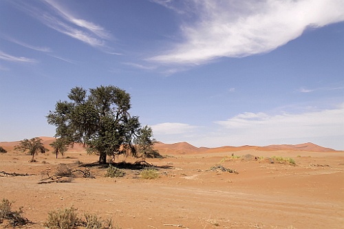 Namibie669