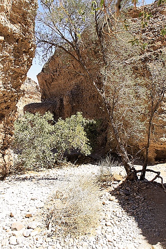 Namibie683