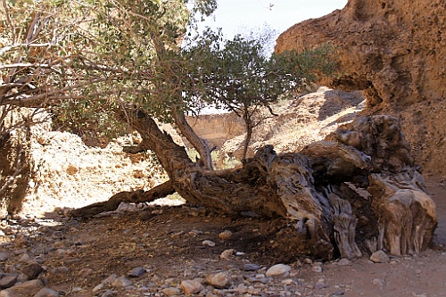 Namibie684