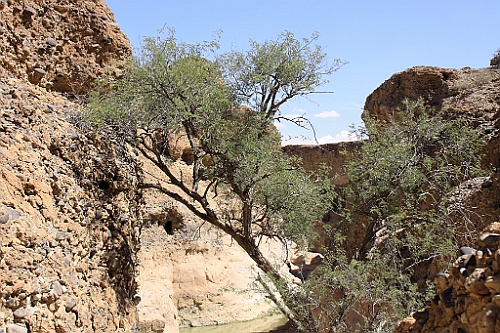 Namibie686