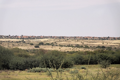 Namibie724