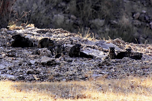 Namibie738