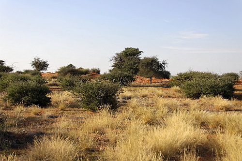 Namibie741
