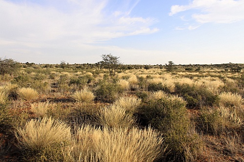 Namibie743