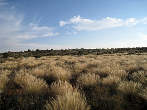 Namibie745
