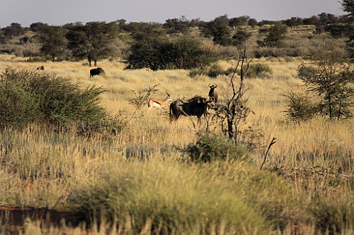 Namibie752