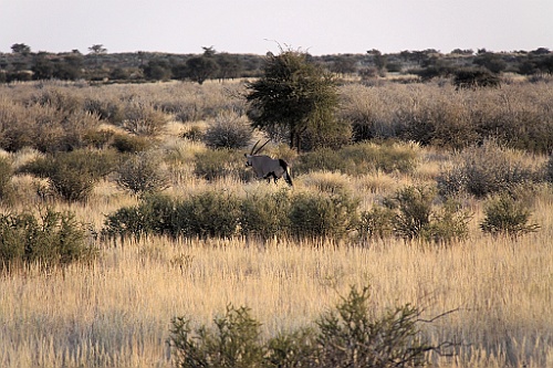 Namibie754