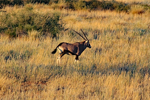 Namibie755