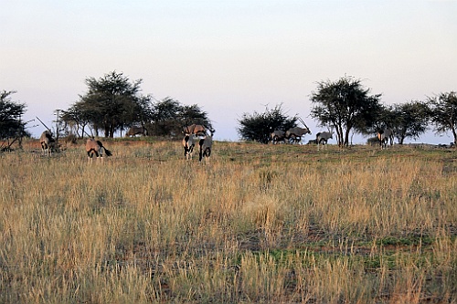 Namibie765