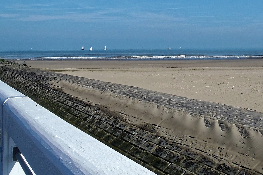 NP0515_009.jpg