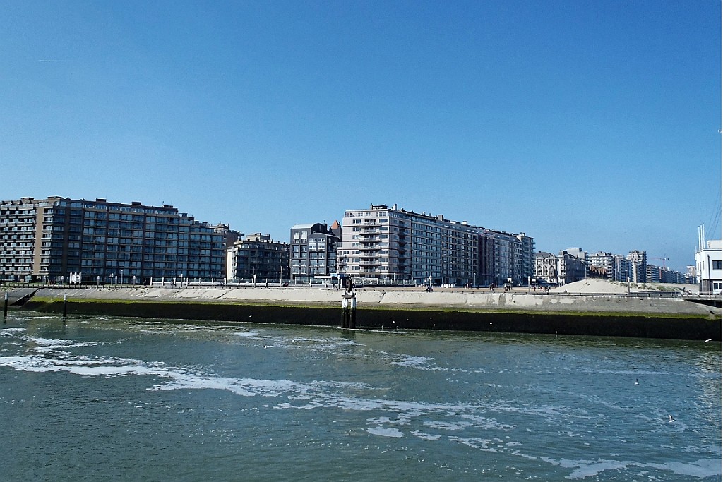NP0515_010.jpg
